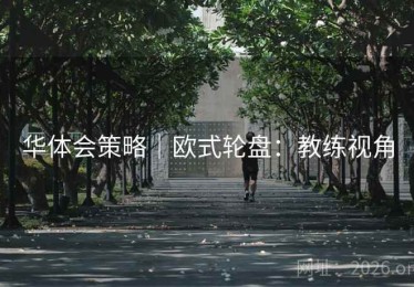 华体会策略｜欧式轮盘：教练视角