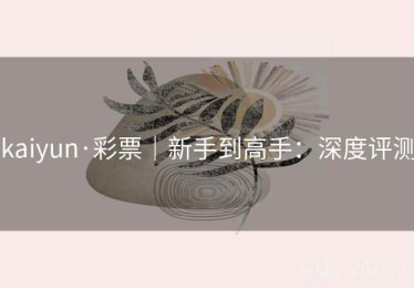 kaiyun·彩票｜新手到高手：深度评测