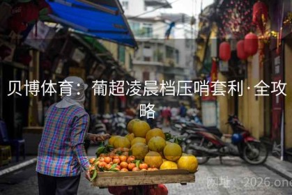 贝博体育：葡超凌晨档压哨套利·全攻略