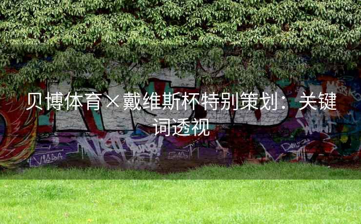 贝博体育×戴维斯杯特别策划：关键词透视